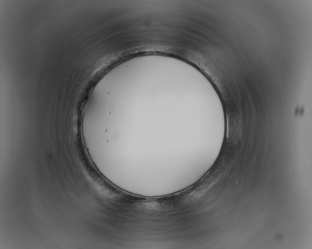 X0000094430253200712061120