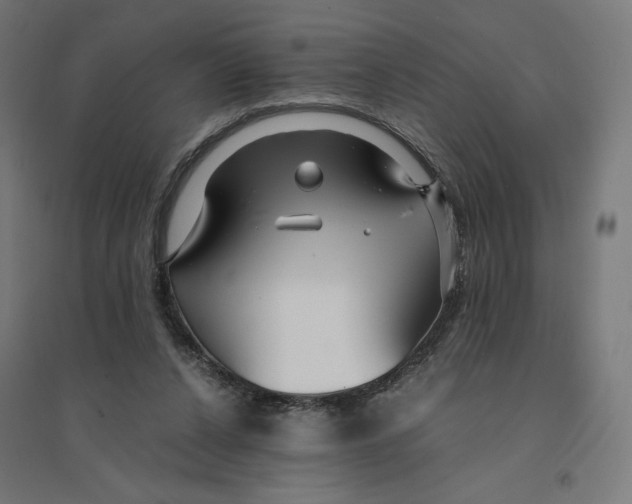 X0000094430256200712061120