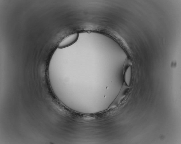 X0000094430257200712061120