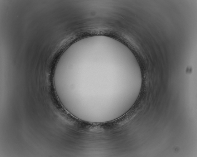 X0000094430258200712061120