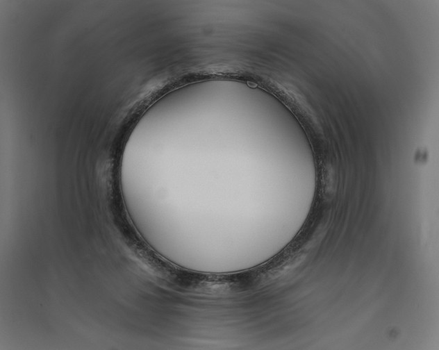 X0000094430260200712061120