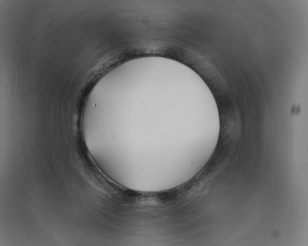 X0000094430262200712061120