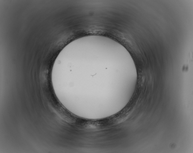 X0000094430263200712061120