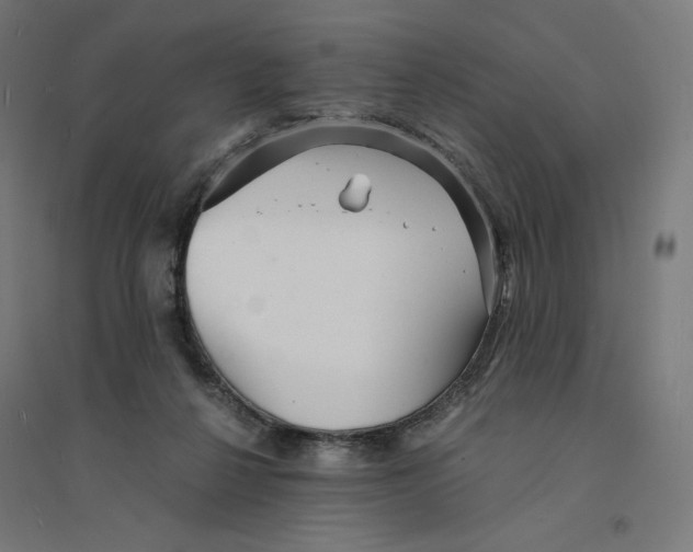 X0000094430264200712061120