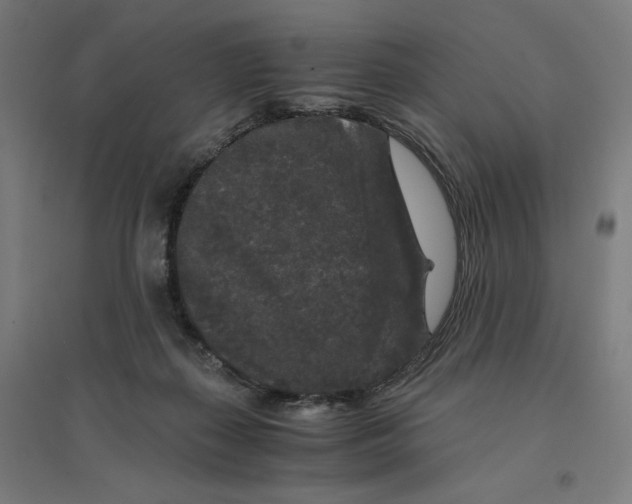 X0000094430267200712061120