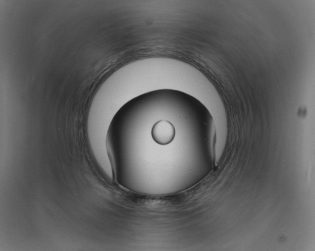 X0000094430268200712061120