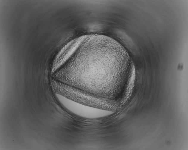 X0000094430269200712061120