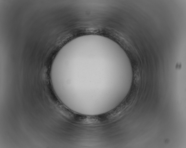 X0000094430270200712061120