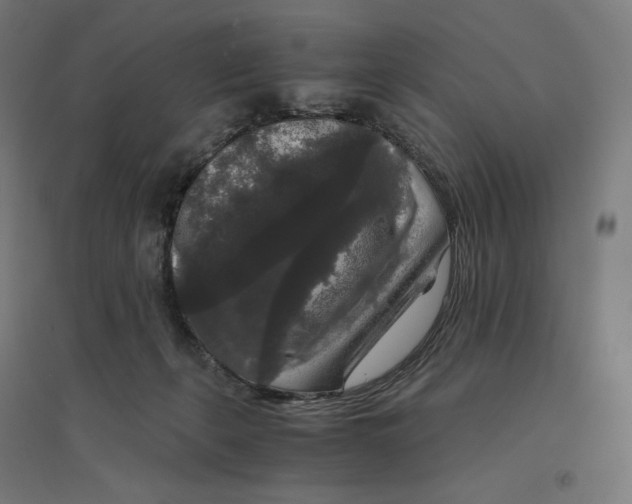 X0000094430271200712061120