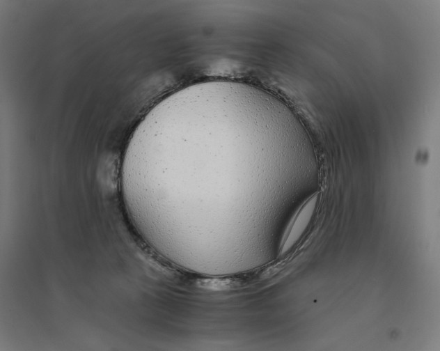 X0000094430273200712061120