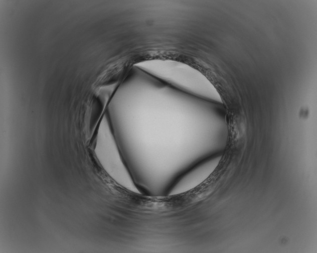 X0000094430276200712061120