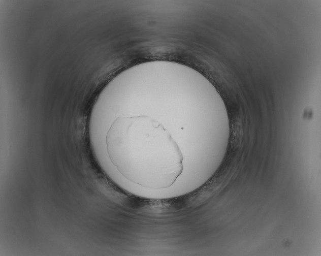 X0000094430278200712061120