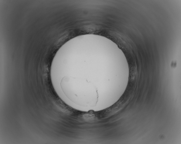 X0000094430279200712061120