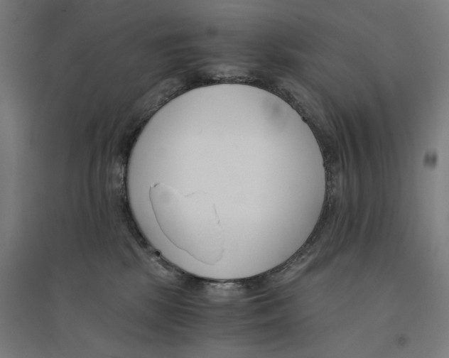 X0000094430281200712061121