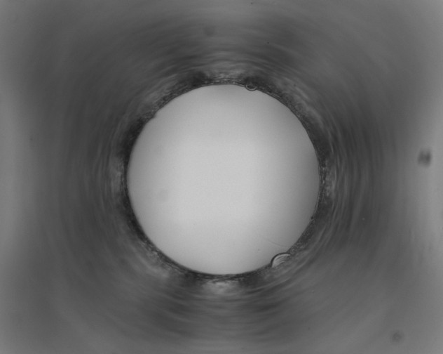 X0000094430283200712061121