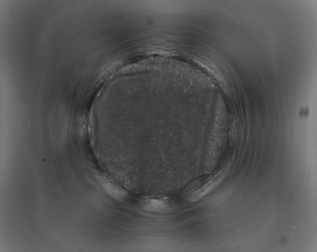 X0000094430285200712061121