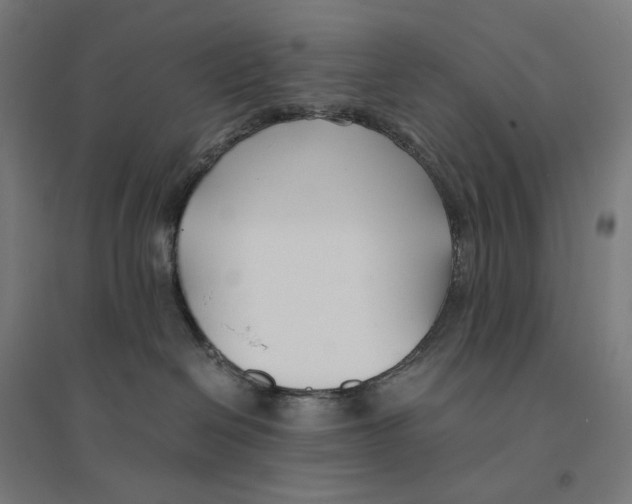 X0000094430286200712061121