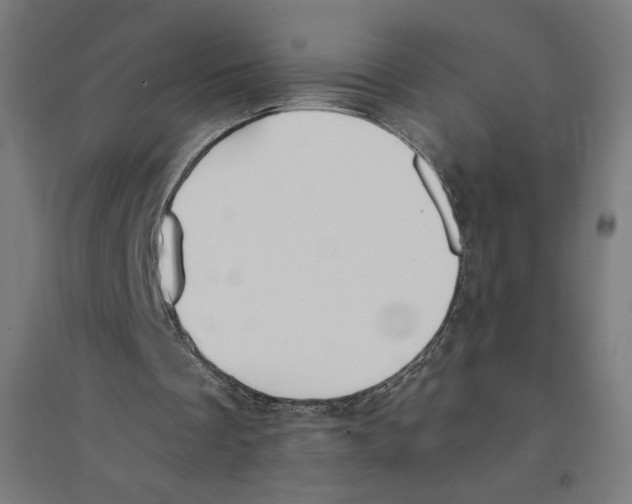 X0000094430289200712061120