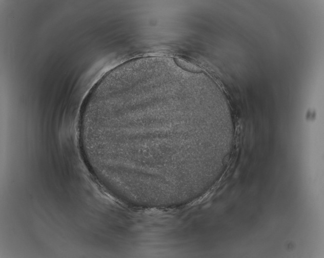 X0000094430290200712061120