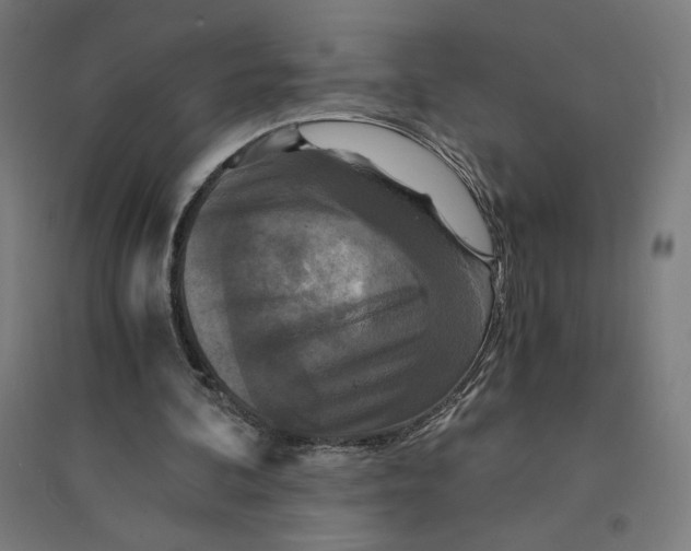 X0000094430292200712061120