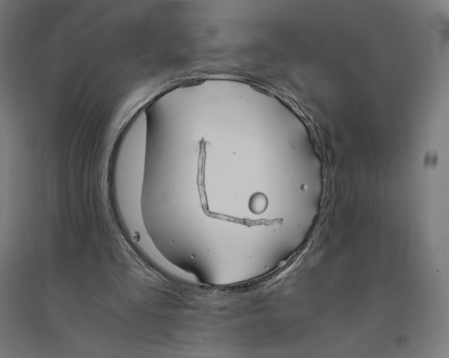 X0000094430293200712061120