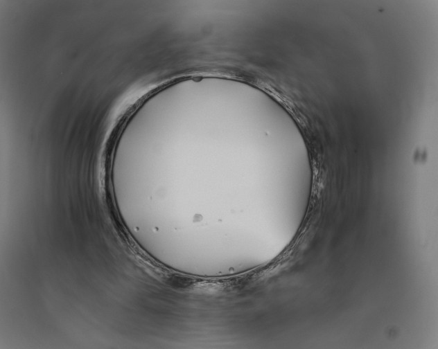 X0000094430294200712061120