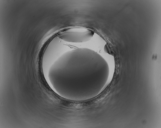 X0000094430295200712061120