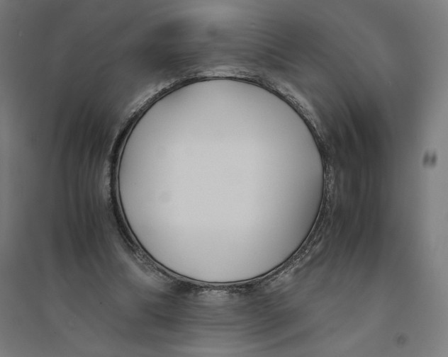 X0000094430298200712061120