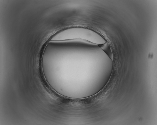 X0000094430299200712061120