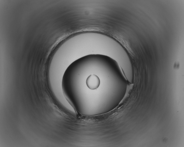 X0000094430300200712061120