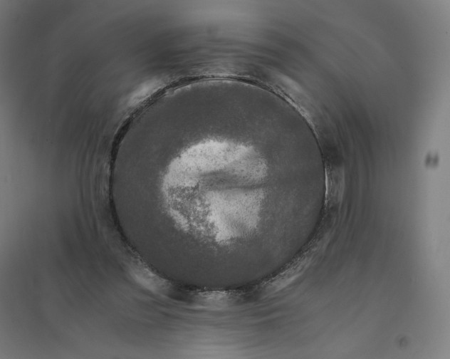 X0000094430301200712061120