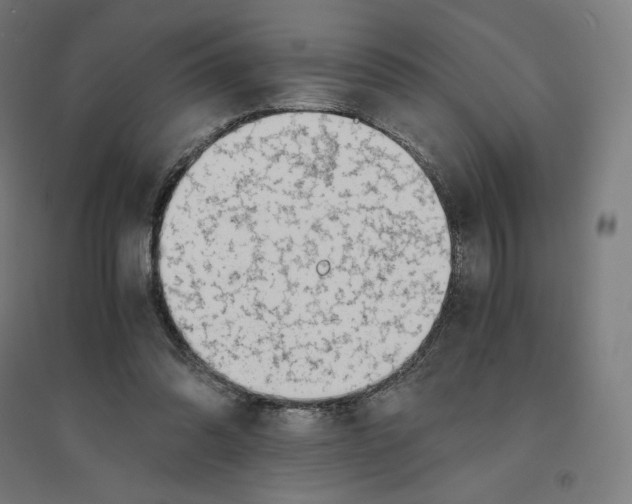 X0000094430302200712061120