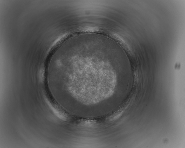 X0000094430304200712061120