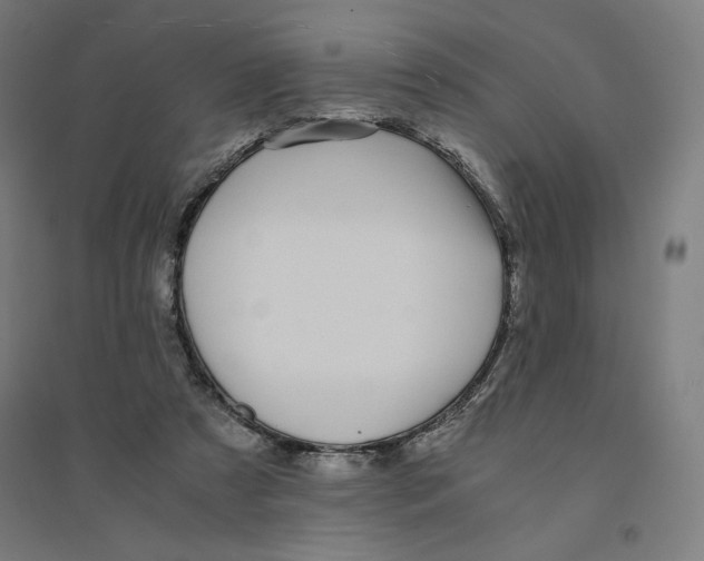 X0000094430305200712061120