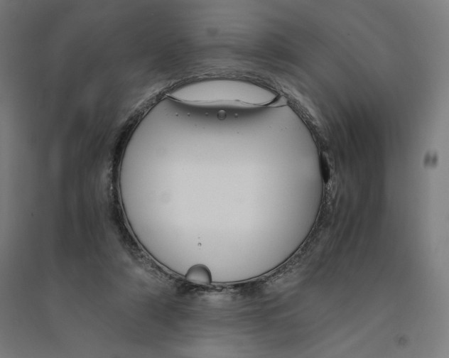 X0000094430306200712061120