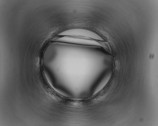 X0000094430308200712061120