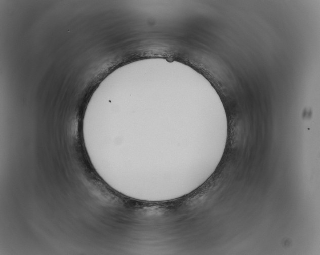 X0000094430310200712061120