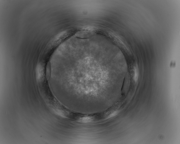 X0000094430312200712061120