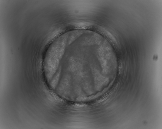 X0000094430314200712061120