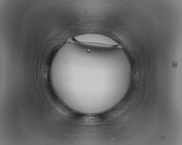 X0000094430315200712061120