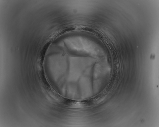 X0000094430316200712061120