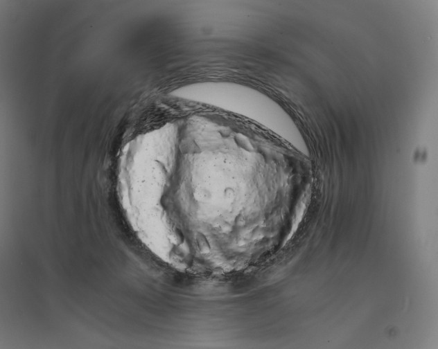 X0000094430319200712061120