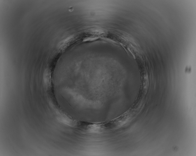 X0000094430320200712061119