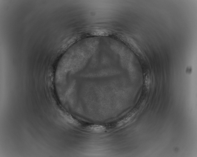 X0000094430322200712061119