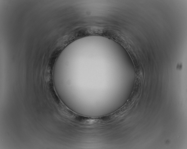 X0000094430323200712061119