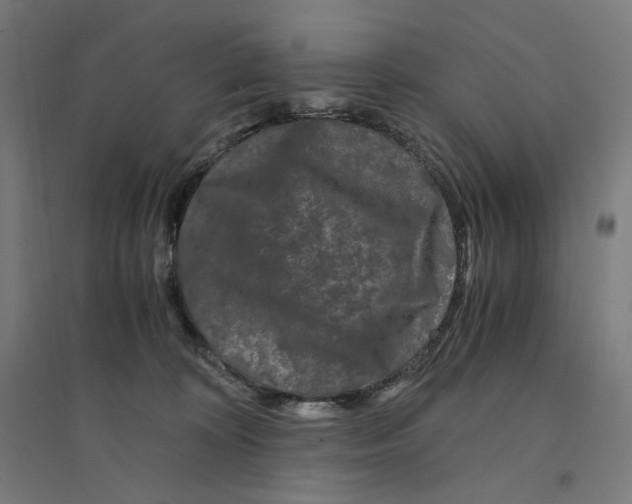 X0000094430324200712061119