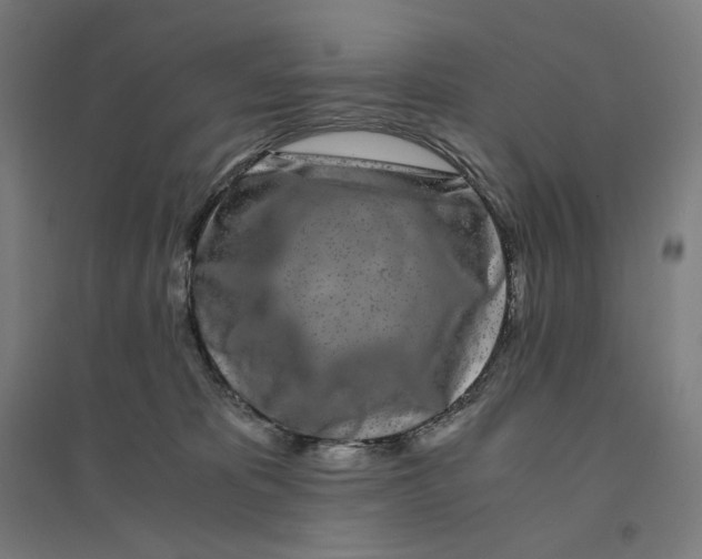 X0000094430325200712061119