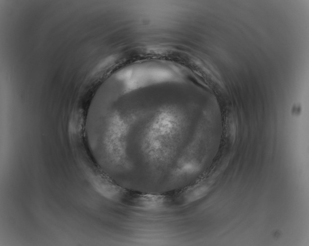 X0000094430328200712061119