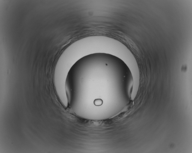 X0000094430329200712061119