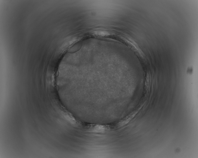 X0000094430330200712061119